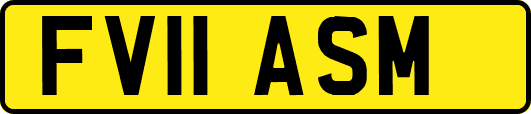 FV11ASM