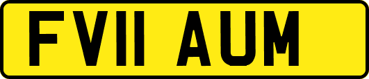 FV11AUM