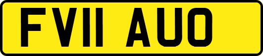 FV11AUO