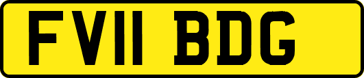 FV11BDG