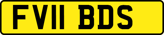 FV11BDS
