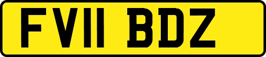 FV11BDZ