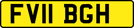FV11BGH