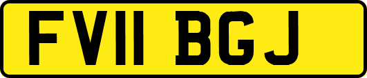 FV11BGJ