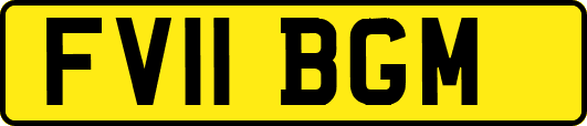 FV11BGM