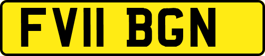 FV11BGN
