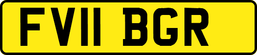 FV11BGR