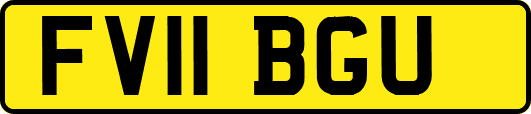 FV11BGU