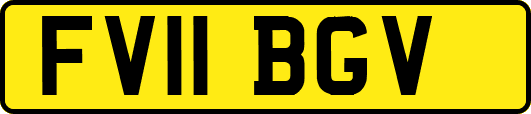 FV11BGV