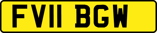 FV11BGW