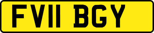 FV11BGY