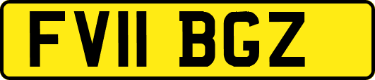 FV11BGZ