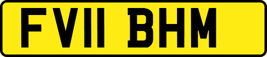 FV11BHM