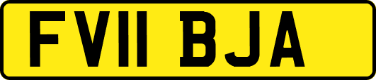 FV11BJA