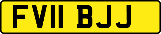 FV11BJJ
