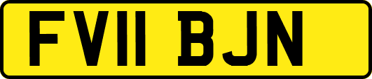 FV11BJN