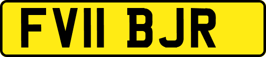FV11BJR