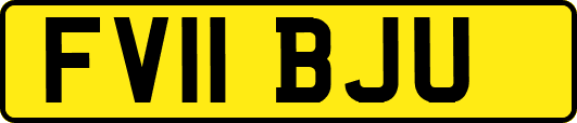 FV11BJU