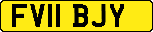 FV11BJY