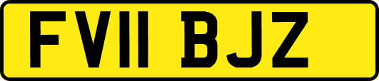FV11BJZ