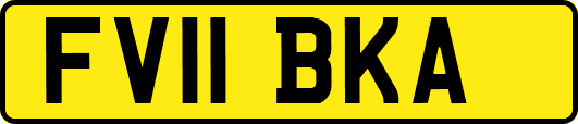 FV11BKA