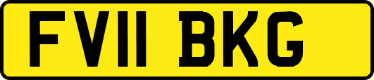 FV11BKG