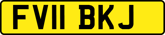 FV11BKJ