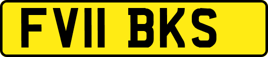 FV11BKS