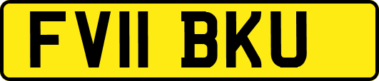 FV11BKU