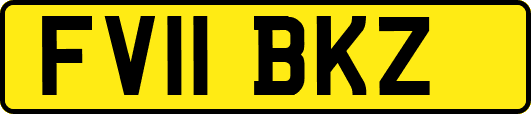 FV11BKZ