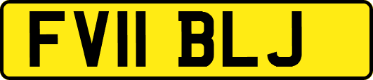 FV11BLJ