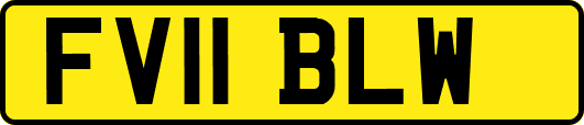 FV11BLW