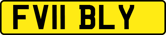 FV11BLY