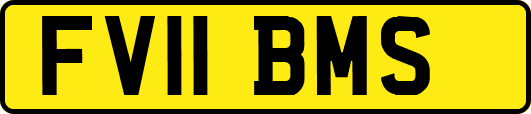 FV11BMS