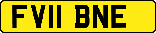 FV11BNE