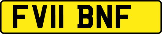 FV11BNF