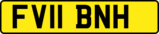 FV11BNH