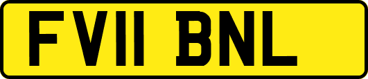 FV11BNL
