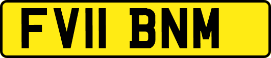 FV11BNM