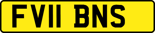 FV11BNS