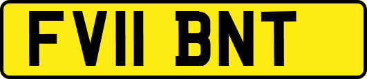 FV11BNT