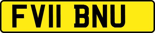 FV11BNU