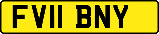 FV11BNY