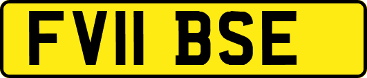 FV11BSE