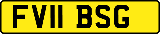FV11BSG