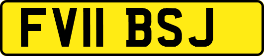 FV11BSJ