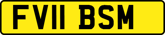 FV11BSM