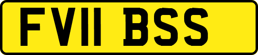 FV11BSS
