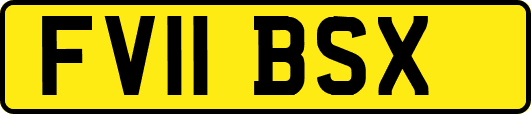 FV11BSX
