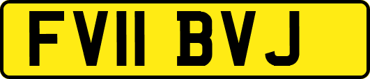FV11BVJ